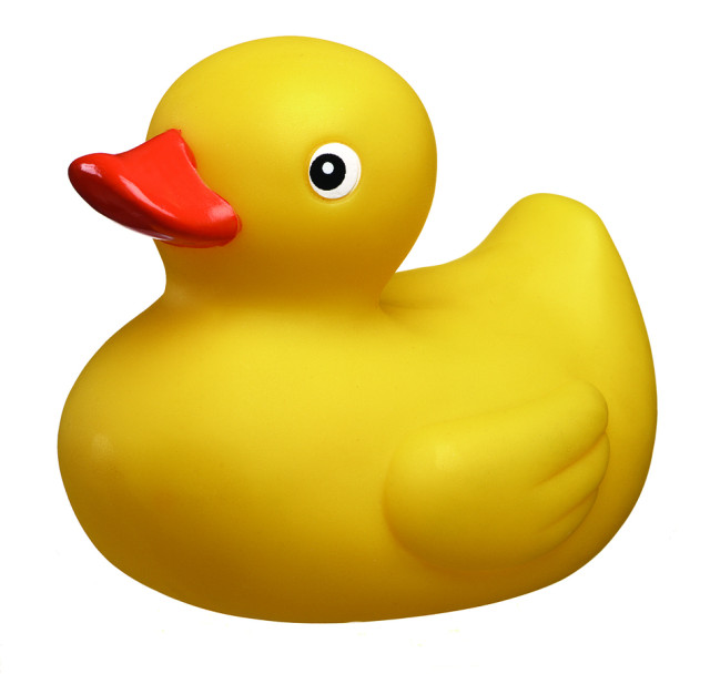 Playgro badlek anka duckie