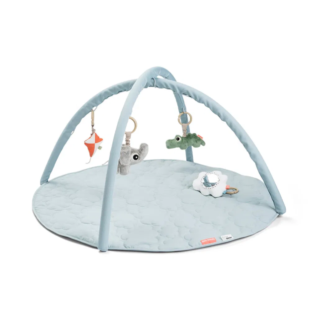 Done by deer babygym playground blue