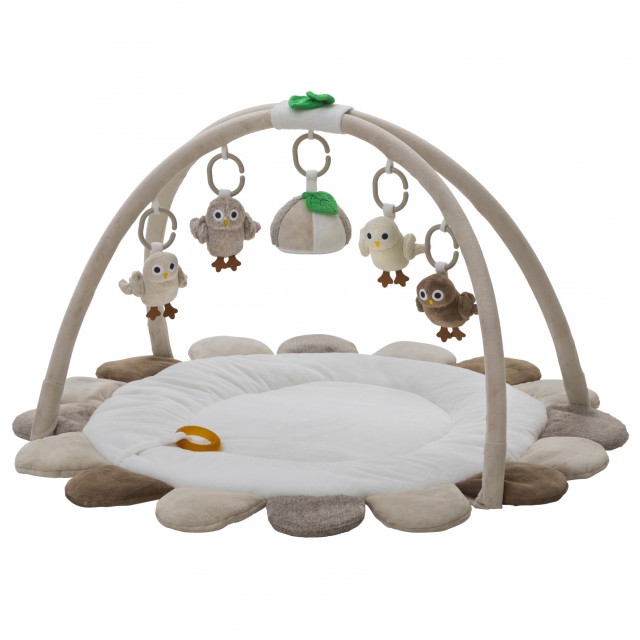 Rätt start babygym owls