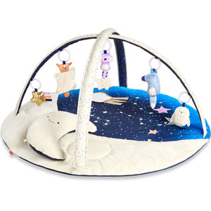 Skip hop celestial dreams babygym
