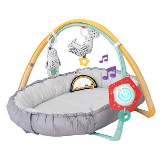 Taf toys babygym musical newborn cosy gym