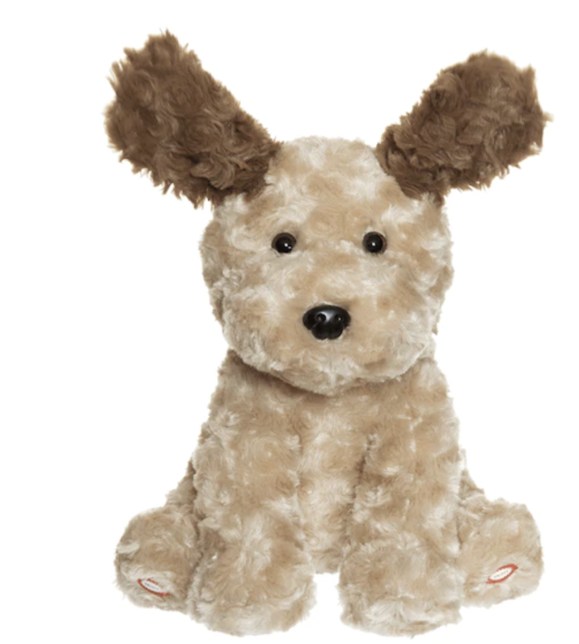 Teddykompaniet titt-ut hund