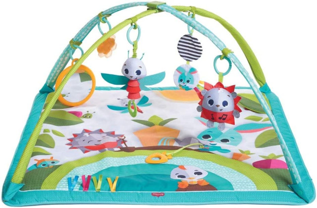Tiny love babygym sunny day redesign